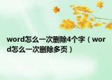 word怎么一次刪除4個(gè)字（word怎么一次刪除多頁(yè)）