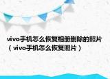 vivo手機怎么恢復(fù)相冊刪除的照片（vivo手機怎么恢復(fù)照片）