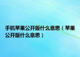 手機(jī)蘋(píng)果公開(kāi)版什么意思（蘋(píng)果公開(kāi)版什么意思）