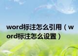 word標注怎么引用（word標注怎么設置）