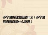 蘇寧易購自營店是什么（蘇寧易購自營店是什么意思）