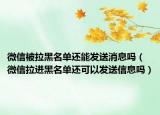 微信被拉黑名單還能發(fā)送消息嗎（微信拉進(jìn)黑名單還可以發(fā)送信息嗎）