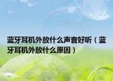 藍(lán)牙耳機(jī)外放什么聲音好聽（藍(lán)牙耳機(jī)外放什么原因）