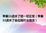 蘋果11進(jìn)水了但一切正常（蘋果11進(jìn)水了會出現(xiàn)什么情況）