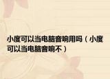 小度可以當(dāng)電腦音響用嗎（小度可以當(dāng)電腦音響不）