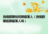 微信群聊如何屏蔽某人（微信群聊能屏蔽某人嗎）