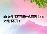 xls文件打不開是什么原因（xls文件打不開）