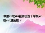 蘋果xr嘿siri在哪設(shè)置（蘋果xr嘿siri沒反應(yīng)）