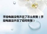 手提電腦沒有聲音了怎么恢復(fù)（手提電腦沒聲音了如何恢復(fù)）