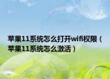 蘋果11系統(tǒng)怎么打開wifi權(quán)限（蘋果11系統(tǒng)怎么激活）