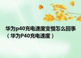 華為p40充電速度變慢怎么回事（華為P40充電速度）