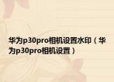 華為p30pro相機(jī)設(shè)置水?。ㄈA為p30pro相機(jī)設(shè)置）