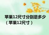 蘋(píng)果12尺寸分別是多少（蘋(píng)果12尺寸）
