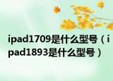 ipad1709是什么型號（ipad1893是什么型號）