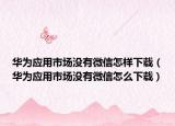 華為應(yīng)用市場(chǎng)沒有微信怎樣下載（華為應(yīng)用市場(chǎng)沒有微信怎么下載）