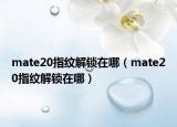 mate20指紋解鎖在哪（mate20指紋解鎖在哪）