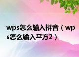 wps怎么輸入拼音（wps怎么輸入平方2）