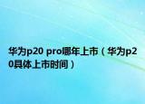 華為p20 pro哪年上市（華為p20具體上市時間）