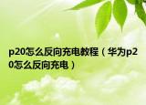 p20怎么反向充電教程（華為p20怎么反向充電）