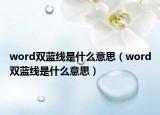 word雙藍線是什么意思（word雙藍線是什么意思）