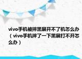 vivo手機(jī)被摔黑屏開不了機(jī)怎么辦（vivo手機(jī)摔了一下黑屏打不開怎么辦）