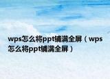 wps怎么將ppt鋪滿全屏（wps怎么將ppt鋪滿全屏）