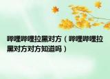 嗶哩嗶哩拉黑對方（嗶哩嗶哩拉黑對方對方知道嗎）