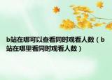 b站在哪可以查看同時(shí)觀看人數(shù)（b站在哪里看同時(shí)觀看人數(shù)）