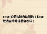 excel如何去除自動篩選（Excel取消自動篩選后會怎樣）