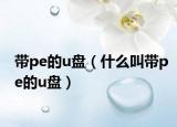 帶pe的u盤（什么叫帶pe的u盤）