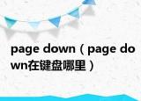 page down（page down在鍵盤哪里）
