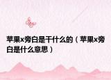 蘋果x旁白是干什么的（蘋果x旁白是什么意思）