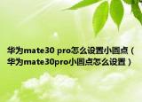 華為mate30 pro怎么設(shè)置小圓點(diǎn)（華為mate30pro小圓點(diǎn)怎么設(shè)置）