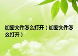 加密文件怎么打開（加密文件怎么打開）