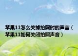 蘋果11怎么關(guān)掉拍照時(shí)的聲音（蘋果11如何關(guān)閉拍照聲音）