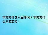 華為為什么不支持5g（華為為什么不賣芯片）