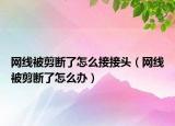 網(wǎng)線被剪斷了怎么接接頭（網(wǎng)線被剪斷了怎么辦）