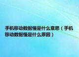 手機(jī)移動(dòng)數(shù)據(jù)慢是什么意思（手機(jī)移動(dòng)數(shù)據(jù)慢是什么原因）