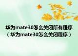 華為mate30怎么關(guān)閉所有程序（華為mate30怎么關(guān)閉程序）
