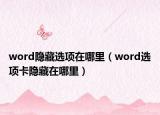 word隱藏選項在哪里（word選項卡隱藏在哪里）
