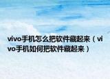 vivo手機(jī)怎么把軟件藏起來(lái)（vivo手機(jī)如何把軟件藏起來(lái)）