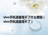 vivo手機(jī)流量用不了什么原因（vivo手機(jī)流量用不了）