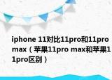 iphone 11對(duì)比11pro和11pro max（蘋果11pro max和蘋果11pro區(qū)別）
