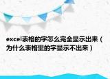 excel表格的字怎么完全顯示出來(lái)（為什么表格里的字顯示不出來(lái)）