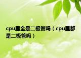 cpu里全是二極管嗎（cpu里都是二極管嗎）