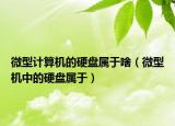 微型計算機的硬盤屬于啥（微型機中的硬盤屬于）