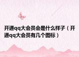 開通qq大會員會是什么樣子（開通qq大會員有幾個圖標）