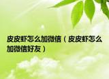 皮皮蝦怎么加微信（皮皮蝦怎么加微信好友）