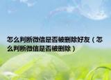 怎么判斷微信是否被刪除好友（怎么判斷微信是否被刪除）