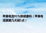 蘋(píng)果電池91%算健康嗎（蘋(píng)果電池健康幾天掉1點(diǎn)）